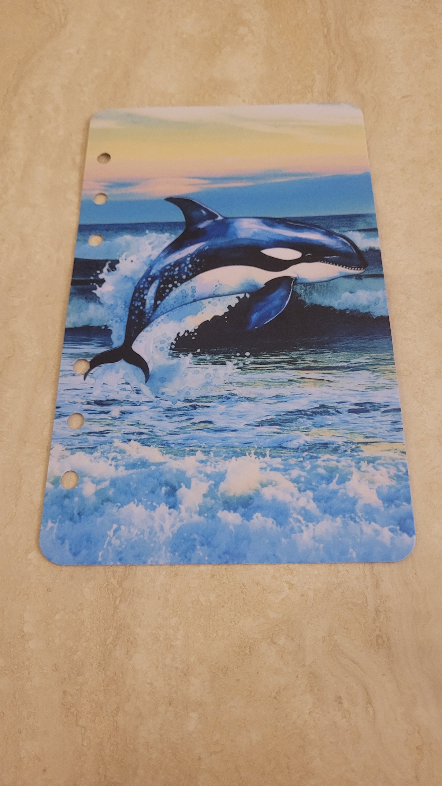 Trennblätter Ocean