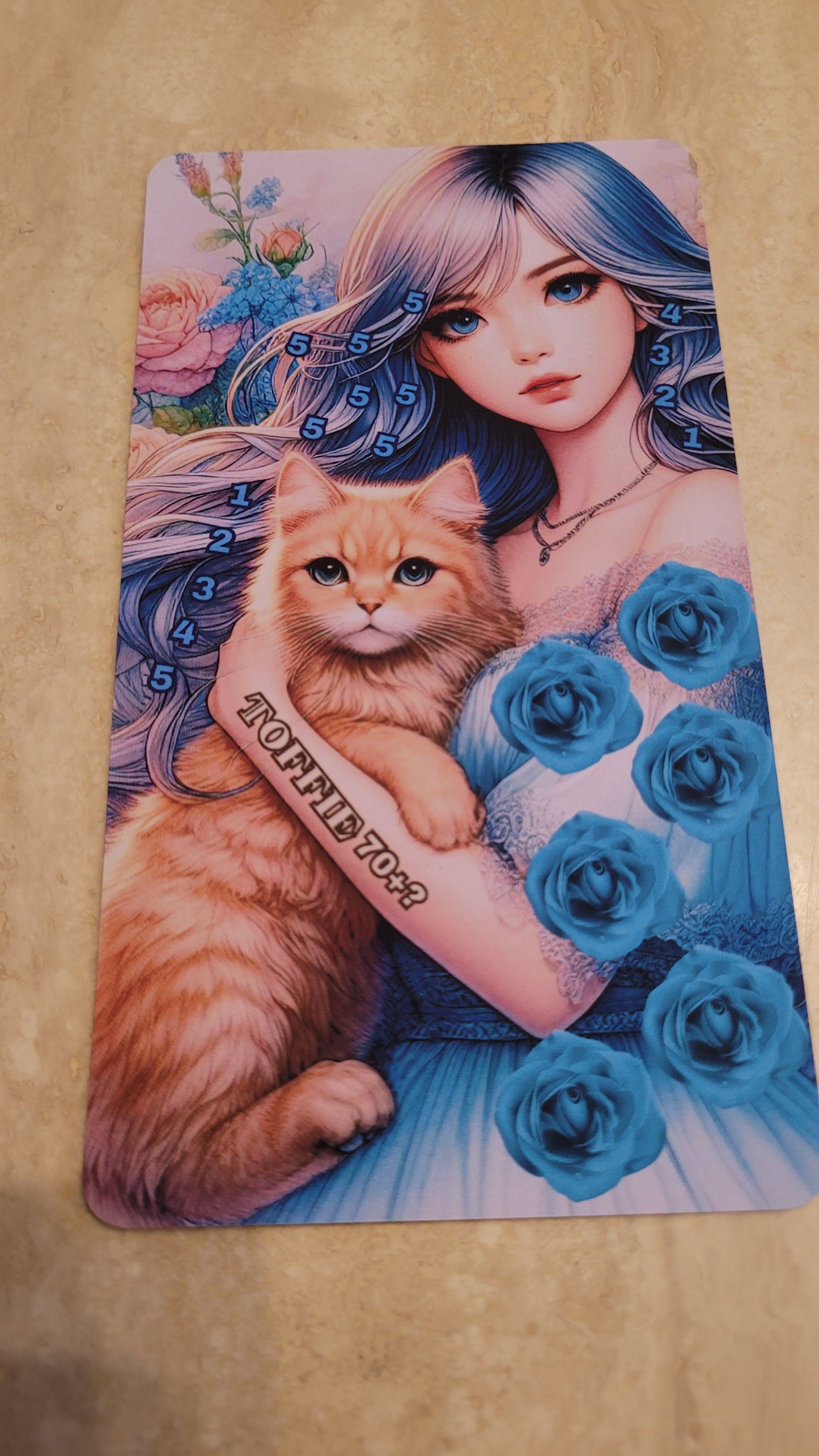 Pets Cats Challenges