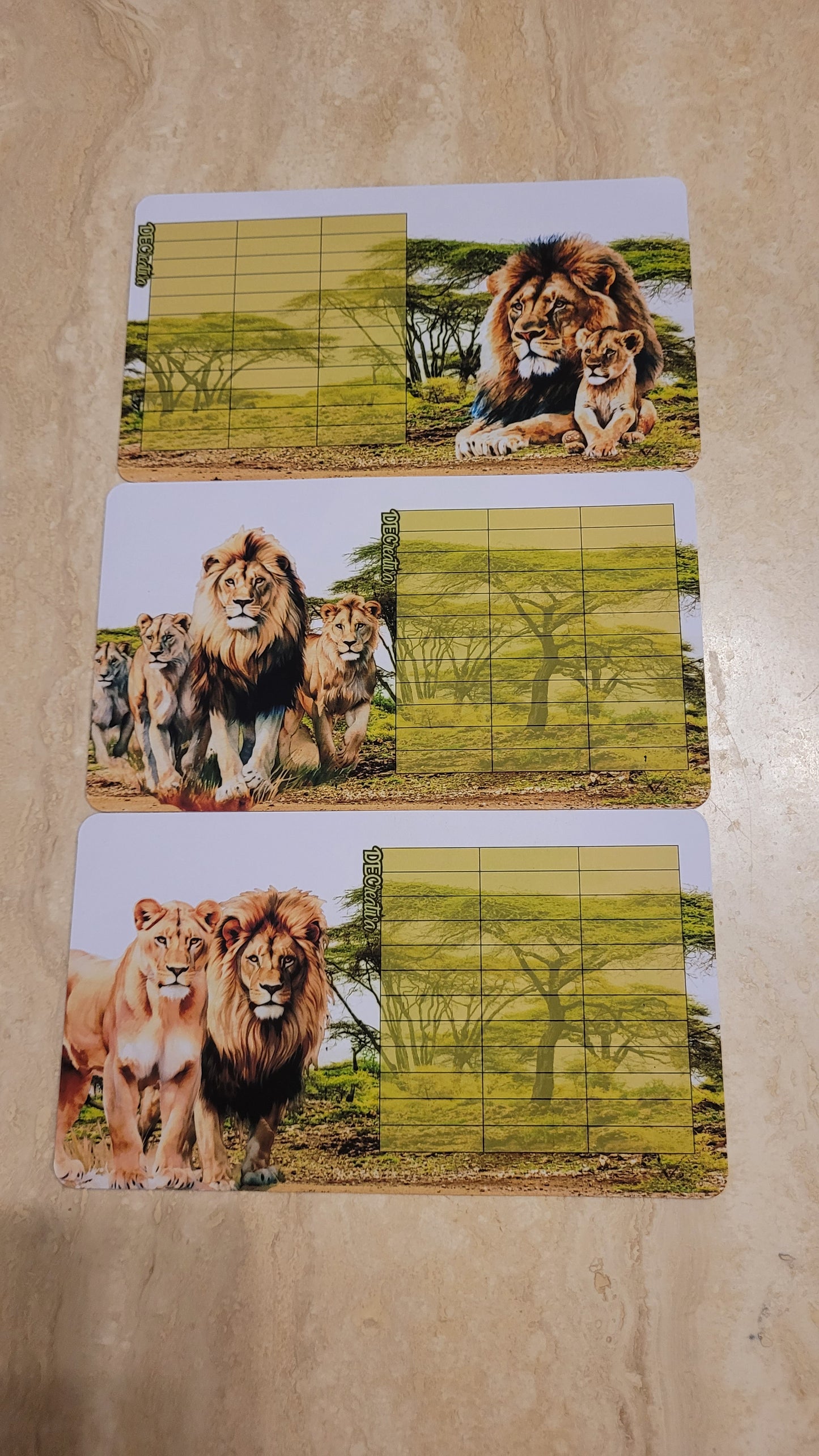 Lions Challenges