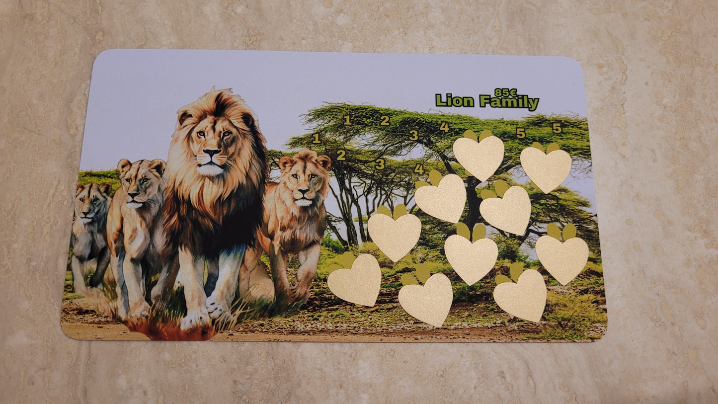 Lions Challenges